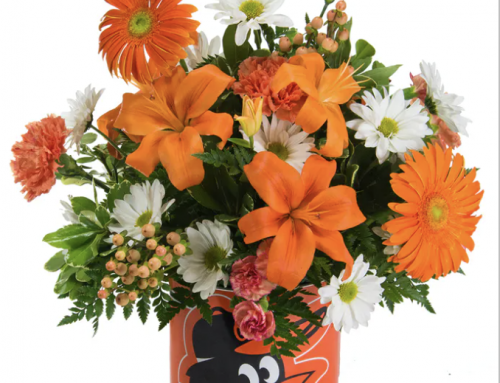 Celebrate Father’s Dady with Flowers and Gifts from Radebaugh Florist