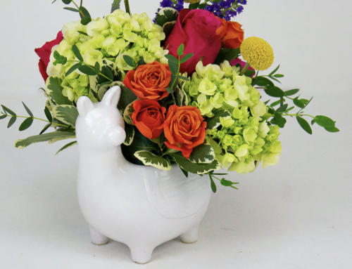 New Baby and Valentine’s Day Flowers are Available for Purchase at Radebaugh Florist. (See Multi-Purpose Coupons)