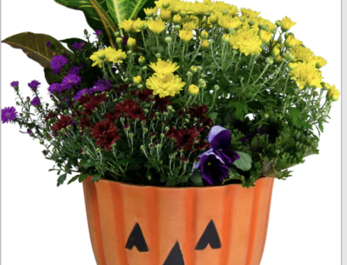 Turn Your House Into a Halloween Festival with Pumpkins, Flowers, and Fall Decor