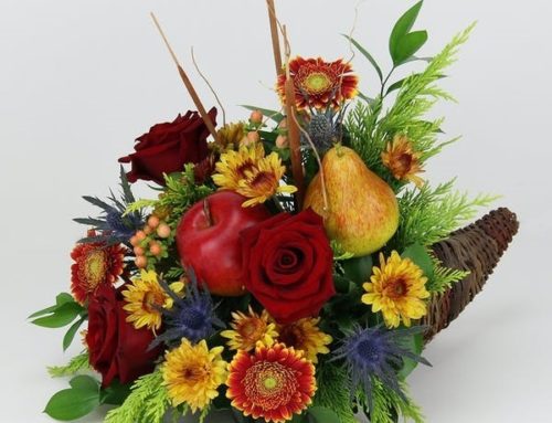 Shop with Radebaugh Florist and be enamored with the Thanksgiving holiday spirit our flowers and gifts add to your home