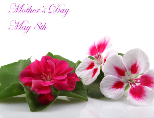 Shop with Radebaugh Florist for the Highest Quality Mother’s Day Floral Products and Gifts