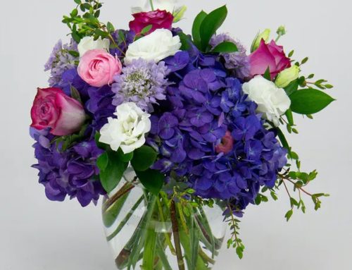 The Radebaugh Florist Designers Have Created Exquisite Summer Flowers and Plants Arrangements