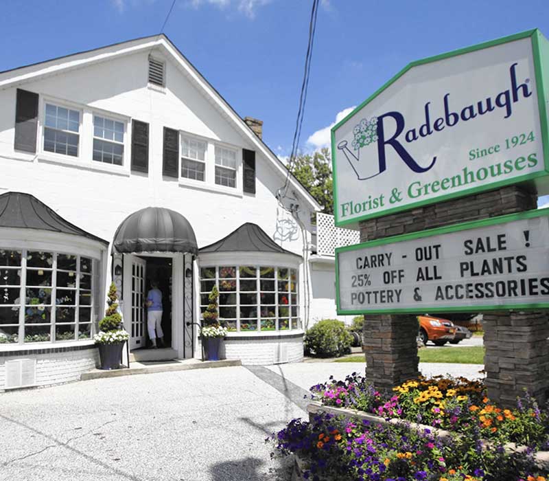 Radebaugh Florist, Baltimore Flower Shop, Welcome To Our Blog