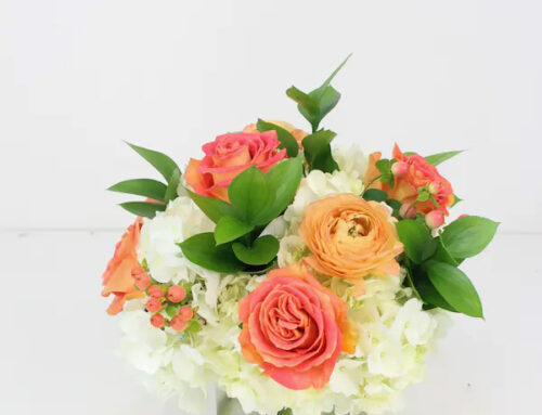 Apply Discounts Below for Valuable Savings on May Birthday Flowers and Other Products