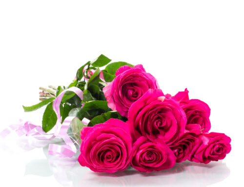 Shop With Us to Find the Finest Quality Valentine’s Day Flowers in Baltimore!