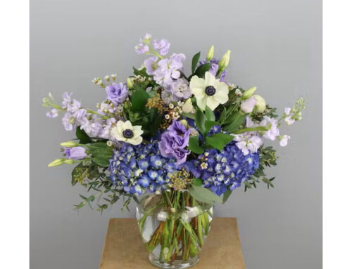 Shop with Us If you Are Searching for Fresh and Beautiful Presidents Day Flowers!