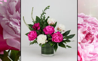 Radebaugh Florist Get-Well Flowers and Plants MEDSTAR UNION MEMORIAL HOSPITAL