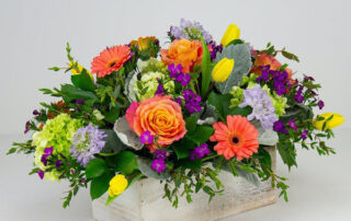 Radebaugh Florist Offers Beautiful and Festive Graduation Flowers and Plants Farm-Fresh Flowers, Green & Flowering Plants, Occasion Themed Gifts