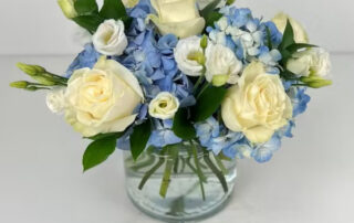 Radebaugh Florist Summer Flowers & Gifts Sunflowers, Succulent Plants, Full Bloom Hydrangea & More