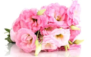 Radebaugh Florist Offers Popular Flowers for October Breast Cancer Awareness Month