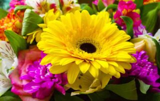 Radebaugh Florist Offers Same Day Delivery of Beautiful Flowers to Towson, Maryland