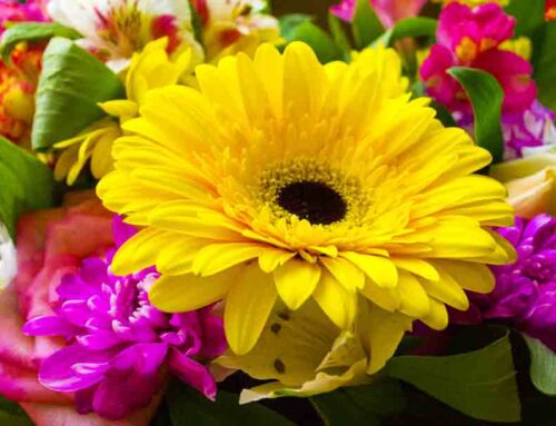 Radebaugh Florist Provides Same Day Flower Delivery to Towson, Maryland,