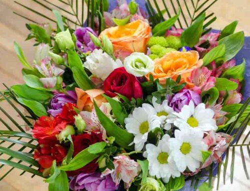 Radebaugh Florist Proudly Offers Flower Delivery to Lutherville-Timonium, Maryland