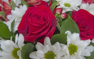 Bouquet with red roses and other white flowers