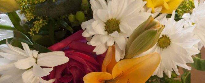 Radebaugh Florist, known for providing professional and reliable Perry Hall Maryland Flower Delivery