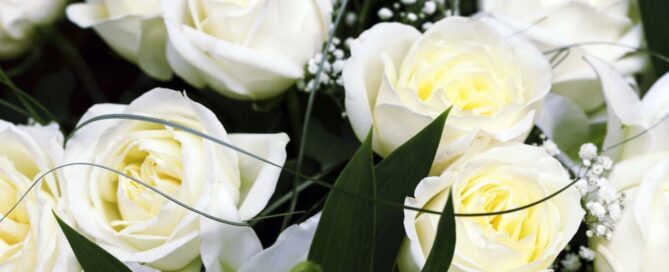 Radebaugh Florist offers stunning New Years White Roses