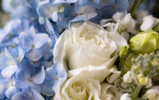 Radebaugh Florist offers winter flowers