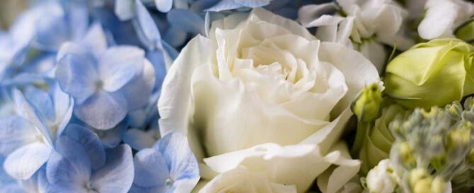 Radebaugh Florist offers winter flowers