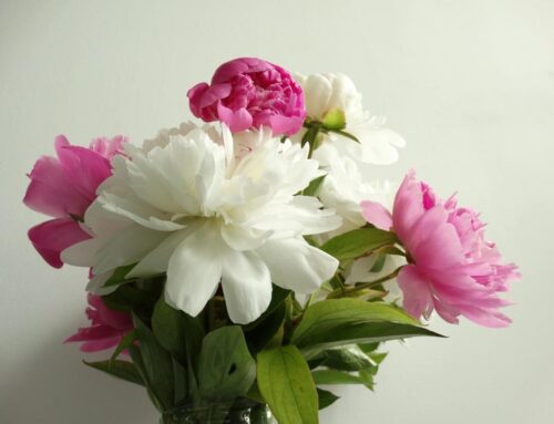 Express Heartfelt Gratitude to Your Holiday Host with Radebaugh Florist Flowers