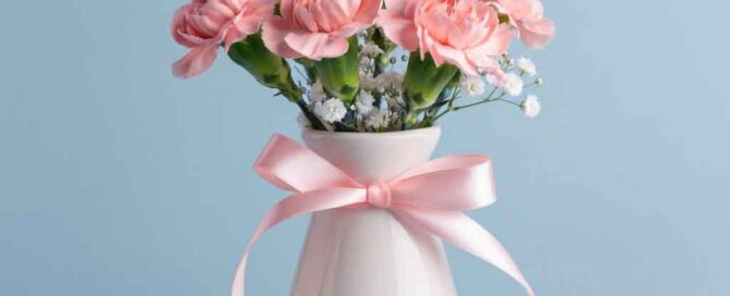 Mother's Day Pink Carnations