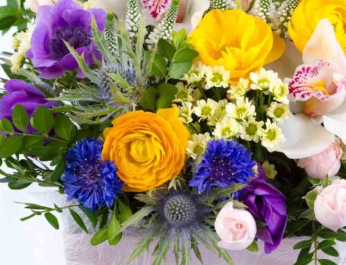 Student Graduation Flowers – School Delivery