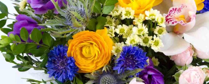 Bright buketny composition from fresh flowers, the white background