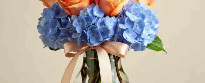 Summer Flower Arrangement with roses and hydrangea